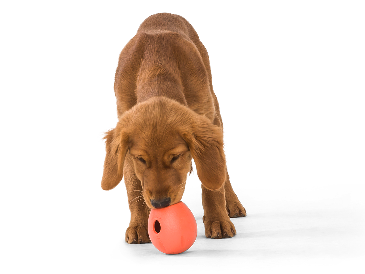 USA Made Dog Treat Wobbler by Kong Wobbler Treat Ball Large