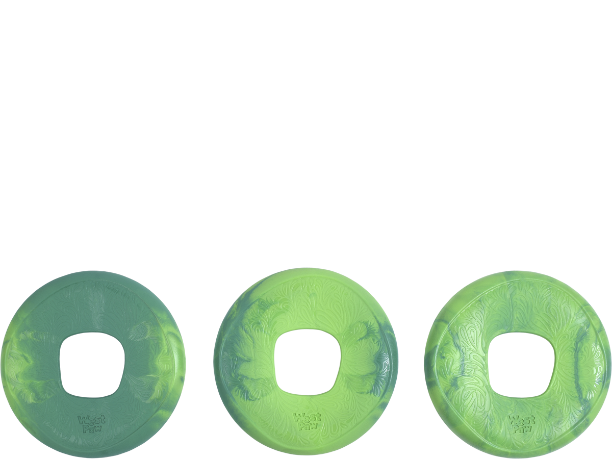 SAILZ de West Paw® color Verde Esmeralda - Frisbee para Perros — La Tienda  de Frida & Chelsee