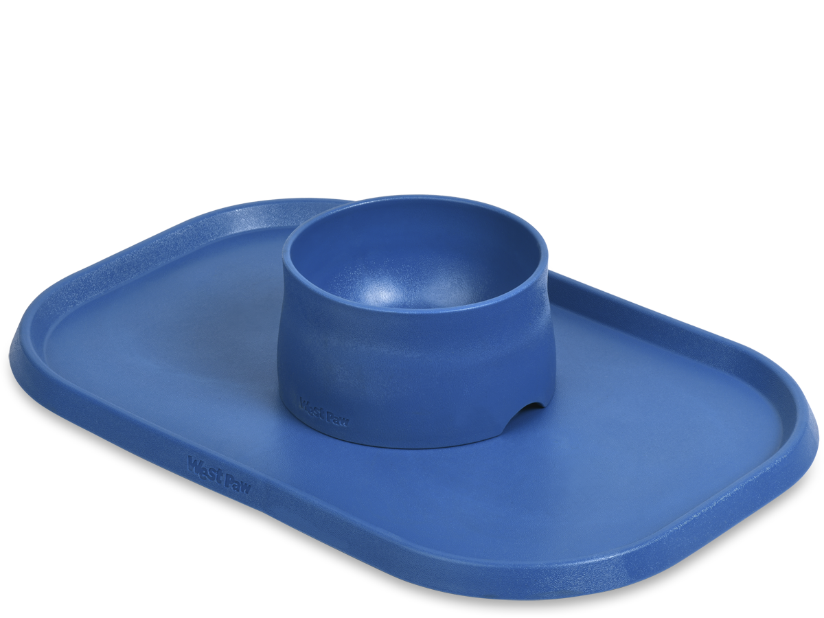 Dog Feeding Mat and Food Bowl