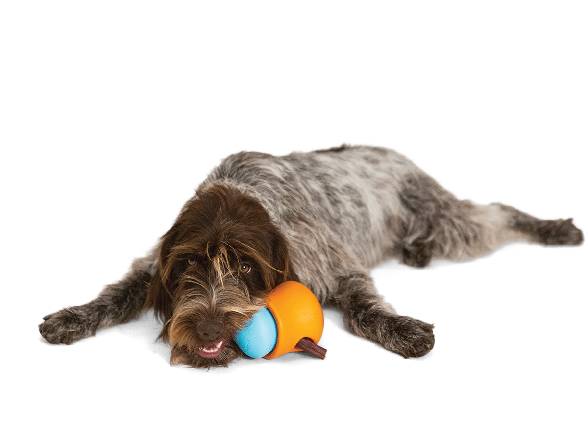 10 best interactive dog toys on sale