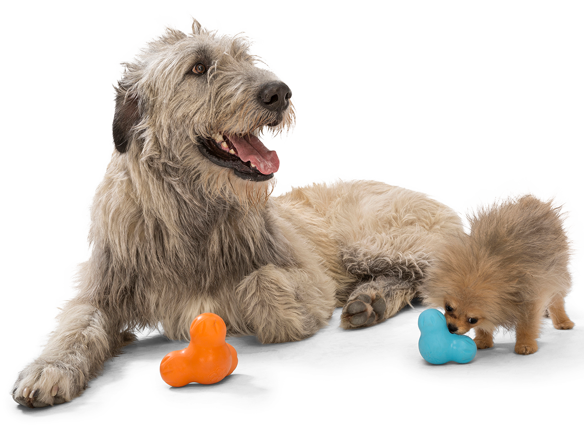 Toppl Treat Toy – Dogs Dig It
