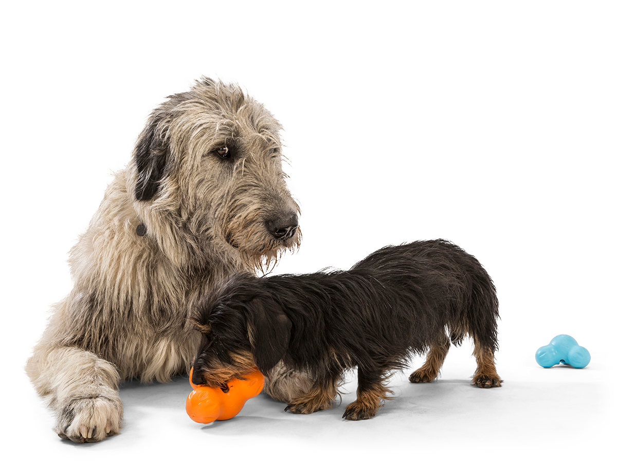 West Paw Tux Dog Toy Tangerine Small