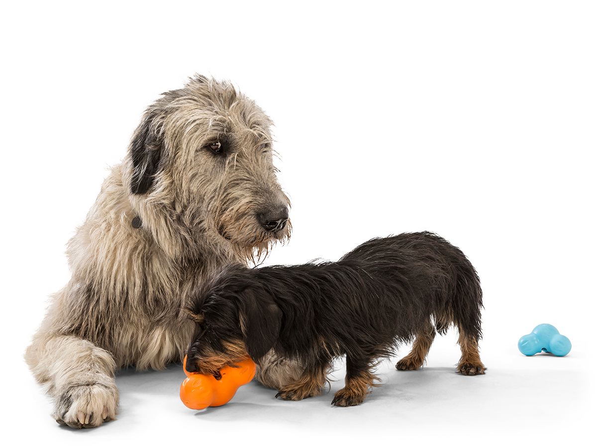 WEST PAW Zogoflex Tux Treat Dispensing Dog Chew Toy (Small, Granny Smith) &  Zogoflex Toppl Treat Dispensing Dog Toy Puzzle (Small, Aqua) – Interactive