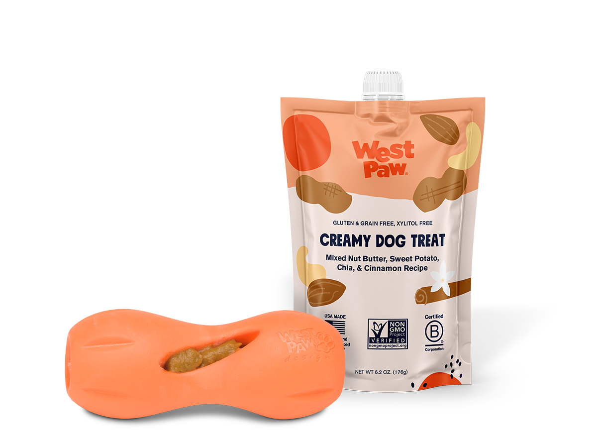 Nut Butter, Sweet Potato, and Chia Seed Creamy Dog Treat