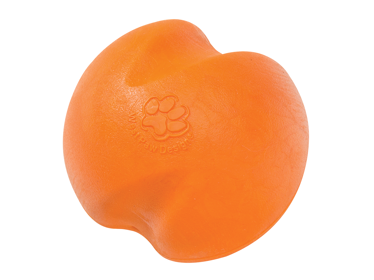 Orange dog discount ball